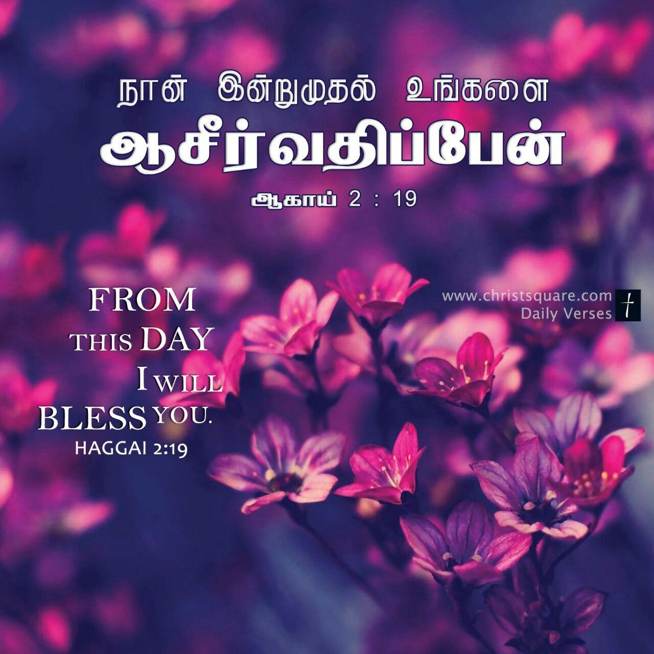tamil bible download